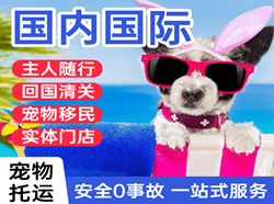 北海福成国际宠物托运 【国